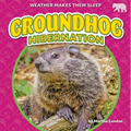 Groundhog Hibernation