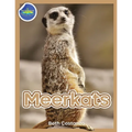 Meerkat Activity Workbook for Kids ages 4-8