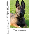 belgian shepherd malinois