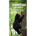 Tennessee Wildlife: A Folding Pocket Guide to Familiar Animals