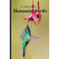 Picture Book Of Hummingbirds: Large Print Book For Seniors with Dementia or Alzheimer's