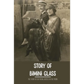 Story Of Bimini Glass: The Story Of Six Young Artists In The 1920s: Glass Business