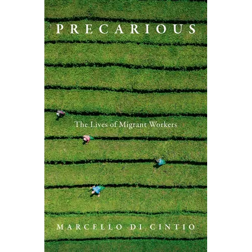 Precarious: The Lives of Migrant Workers