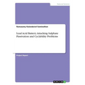 Lead Acid Battery. Attacking Sulphate Passivation and Cyclability Problems