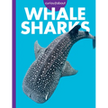 Curious about Whale Sharks