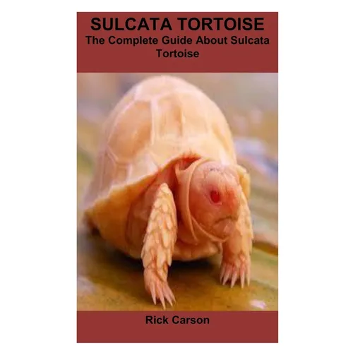 Sulcata Tortoise: The Complete Guide About Sulcata Tortoise