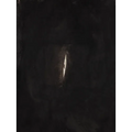 Anish Kapoor