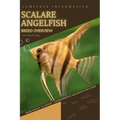 Scalare Angelfish: From Novice to Expert. Comprehensive Aquarium Fish Guide