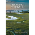 Treasure on Jekyll: Gem of the Golden Isles Series Book Three