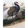 Clark Winter: Birds