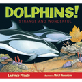 Dolphins!