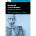 Neandertal Skeletal Anatomy