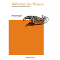 Morphologien