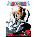 Bleach, Vol. 49