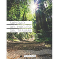 Sanidad del Núcleo Del Trauma