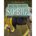 Why Are Ostriches So Big?: And Other Curious Bird Adaptations