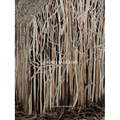 Doris Salcedo
