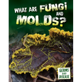 What Are Fungi and Molds?
