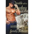 Trouble with a Cowboy