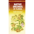 Native Orchids of Florida