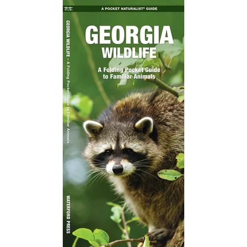 Georgia Wildlife: A Folding Pocket Guide to Familiar Animals