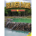 Beaver Dams