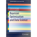 Bayesian Optimization and Data Science