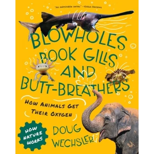 Blowholes, Book Gills, and Butt-Breathers: How Animals Get Their Oxygen