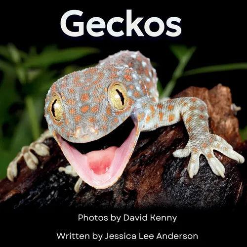 Geckos: Get to Know More About These Vocal Lizards!