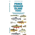 Prince Edward Island Fishes: A Folding Guide to Native and Introduced Inland Species