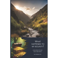What happened to my bounty?: An inspiring story about the art of risk management according to ISO 31000