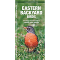 Eastern Backyard Birds: An Introduction to Familiar Urban Species