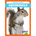 Squirrels