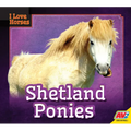 Shetland Ponies