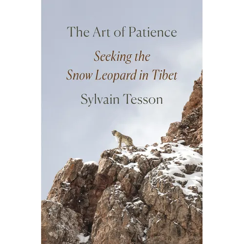 The Art of Patience: Seeking the Snow Leopard in Tibet