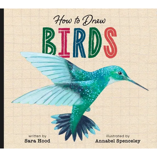 How to Draw Birds