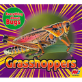Grasshoppers