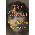 The Attempt