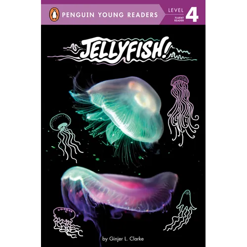 Jellyfish!