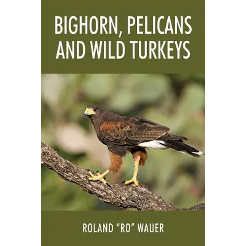 Bighorn, Pelicans and Wild Turkeys