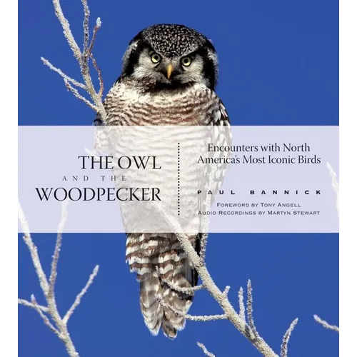 The Owl and the Woodpecker: Encounters with North America's Most Iconic Birds [With CD]