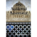 The Accidental Adventurer