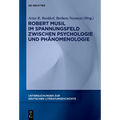 Robert Musil im Spannungsfeld zwischen Psychologie und Phänomenologie