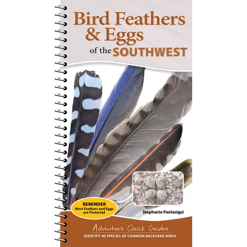 Bird Feathers & Eggs of the Southwest: Identify 40 Species of Common Backyard Birds