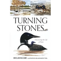 Turning Stones: Discovering the Life of Water