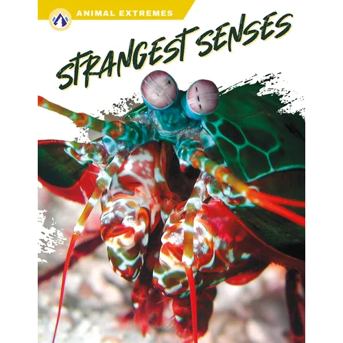 Strangest Senses