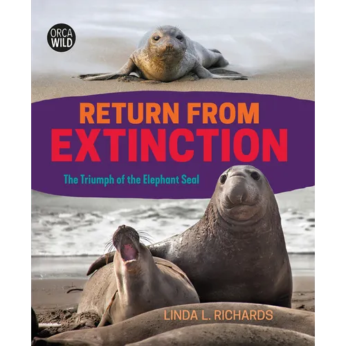 Return from Extinction: The Triumph of the Elephant Seal