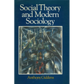 Social Theory and Modern Sociology