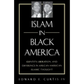 Islam in Black America: Identity, Liberation, and Difference in African-American Islamic Thought