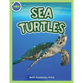 Sea Turtles Activity Workbook ages 4-8